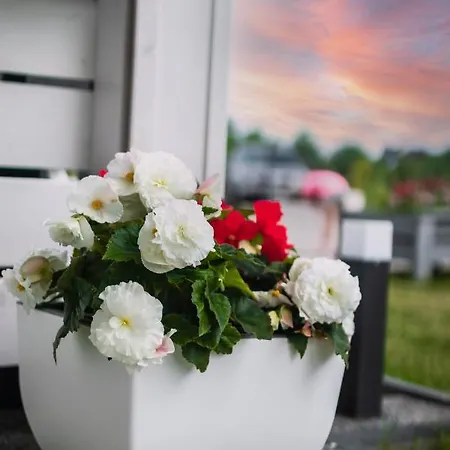 Villa Daglezja Vip Kołczewo
