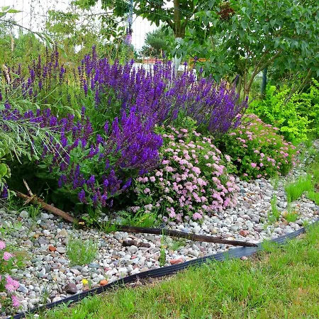 Daglezja Vip Villa *