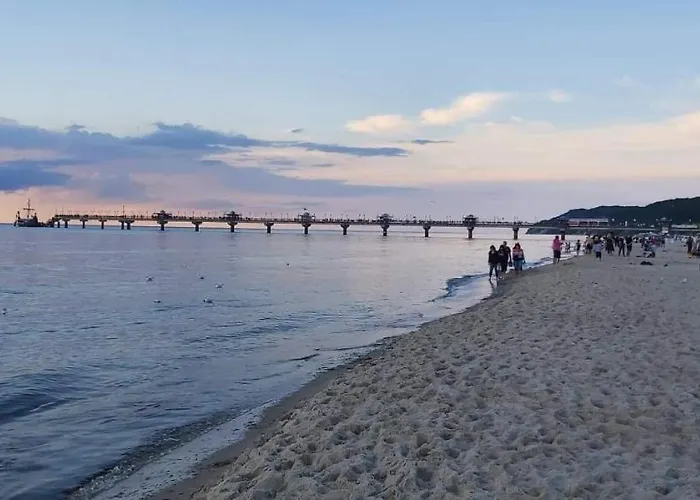 Daglezja Vip * コウチェボ