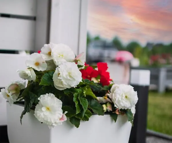 ヴィラ Daglezja Vip コウチェボ